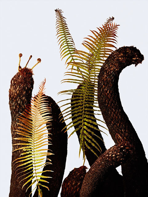 「ウルトラ植物博覧会」で展示されている植物たち