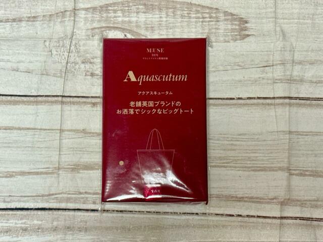 付録は「Aquascutum（アクアスキュータム）老舗英国ブランドのお洒落でシックなビッグトート」