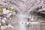 星野リゾートBEB5土浦「お花見水上サイクリング」イメージ/2人乗り水上自転車はお友達とおしゃべりしながらスイスイ