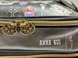 【ANNA SUI COLLECTION BOOK 2つに分かれるバニティポーチ】クロネコチャームとクロネコのイラスト♡