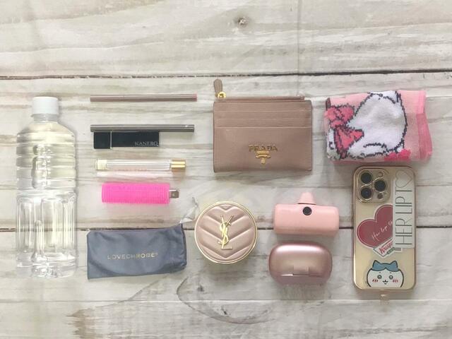 これだけのものが入りました！