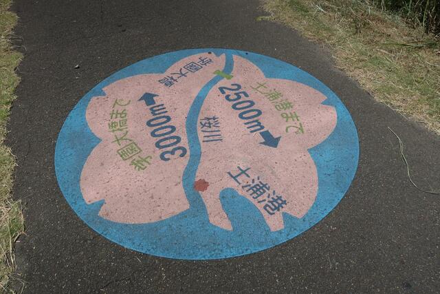 土浦市水郷橋付近