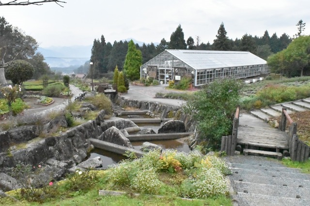 ここにあるハーブは全て無農薬