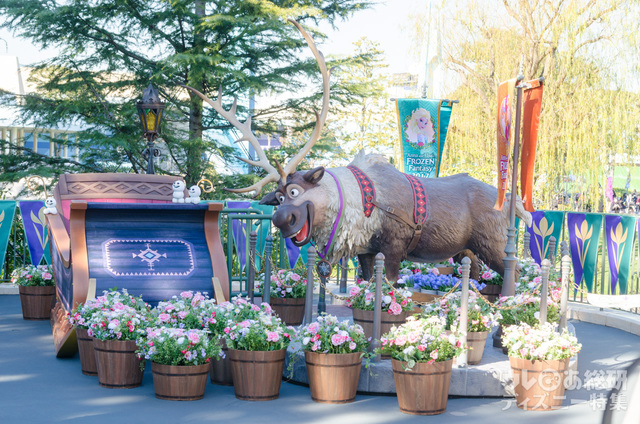 体験型のフォトロケーション