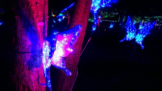 さがみ湖イルミリオン