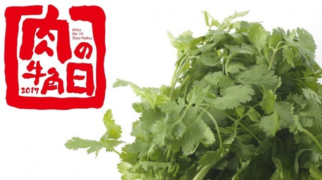 焼肉のプロ厳選!!パクチーと相性が良い商品が食べ放題