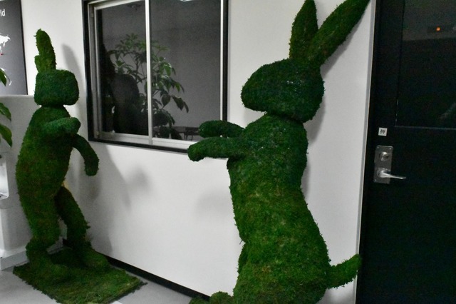 グリーンのうさぎがお出迎え