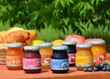 信州須藤農園／砂糖不使用 ジャムお試しセット