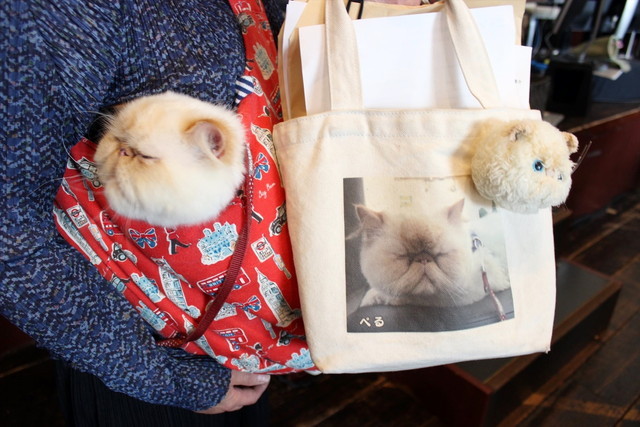 ご本人（猫）がプリントされたバッグに、娘さんの手作りだと言うぬいぐるみ。 ものすごくそっくりだし、ものすごくカワイイ！！