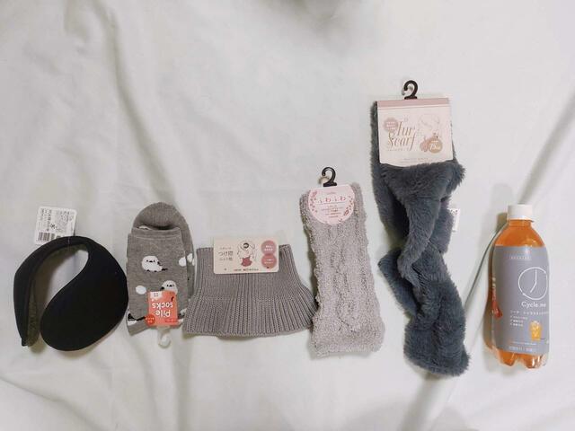 サイズの目安に、隣に500mlペットボトルを置いてみた