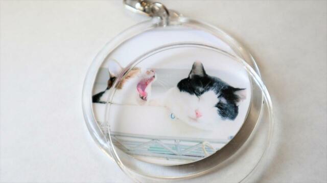 【セリア オリジナルフォトインキーホルダー】線の0.5mmほど内側あたりで切ると◎