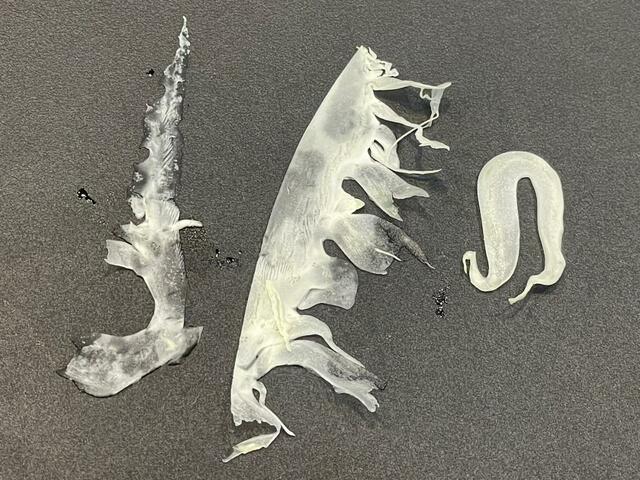 【下村工業 厚み調整機能付スライサー】比較すると分かる厚みの差