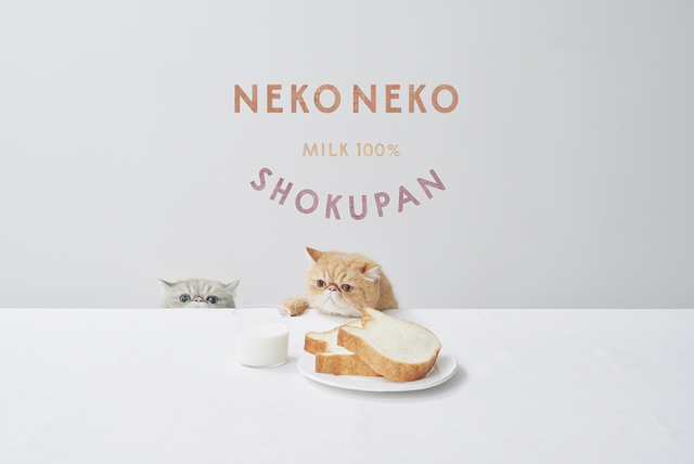 ねこねこ食パン