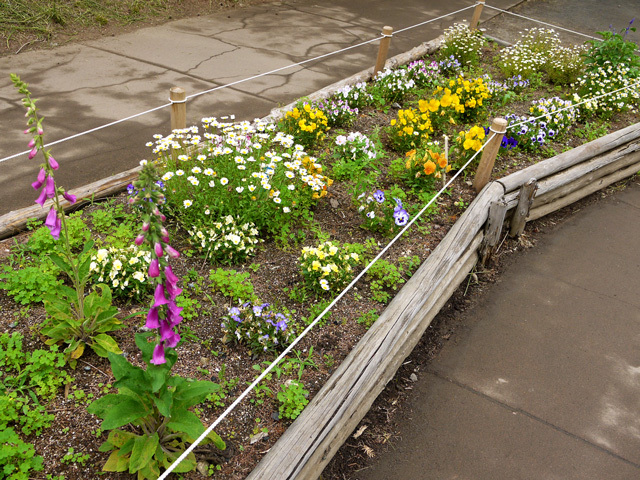 きれいに手入れされているようです