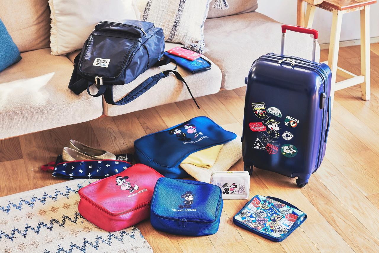 普段も使える!パイロット風ミッキー&CA風ミニー柄の最新トラベルグッズ
