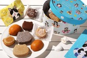 【ねこねこ ねこねこサマーバケーションBOX】「ねこねこレモンケーキ」2個、「ふぃにゃんシェ(プレーン/ショコラ)」各2個、「ねこねこダックワーズ(メイプル/チョコ)」各1個 1箱2,220円(税込み)