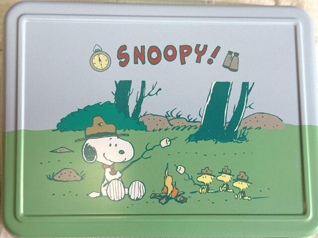 焚き火でマシュマロを焼いて楽しむスヌーピーとウッドストックがキュートなデザイン