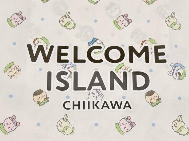 フロントには「WELCOME ISLAND CHIIKAWA」のロゴプリント入り