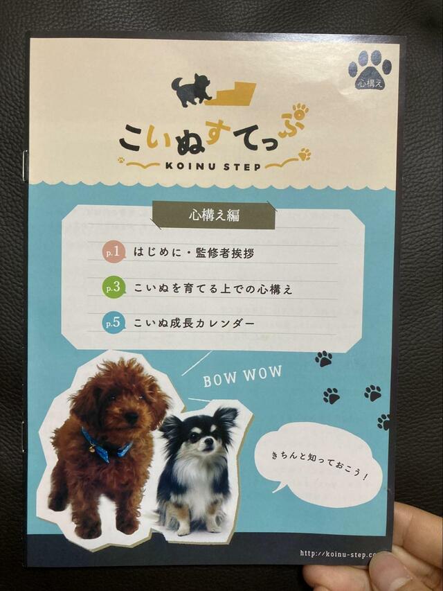 【こいぬすてっぷ 心構え編】初心者必見！成長カレンダーで計画性を持ってしつけを進められます