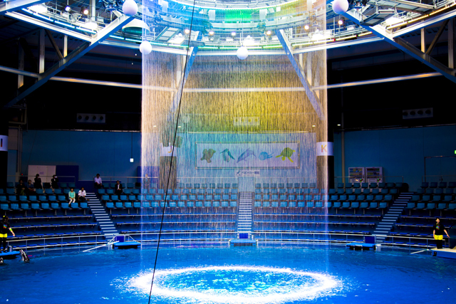 ドルフィンパフォーマンス / エプソン アクアパーク品川