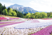【じゃらん 春の花絶景ランキング】第5位：「羊山公園・芝桜の丘」（埼玉県）