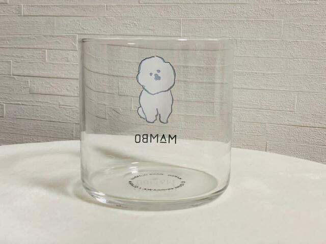 後ろはプリントがないシンプルなデザイン