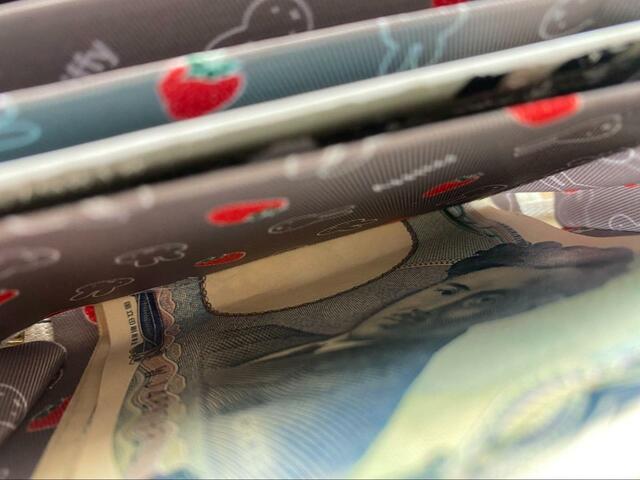 【宝島社 miffy カードが見やすい じゃばら式ミニ財布 BOOK WHITE】お札は折らずに収納できる