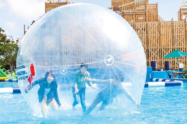 伊豆ぐらんぱる公園【静岡・伊豆高原】　ボールの大きさは人数に合わせて2種類