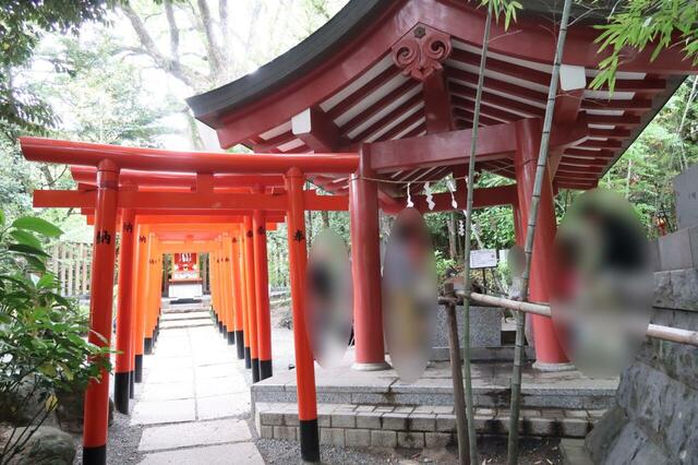 來宮神社の手水舎と來宮七社の鳥居