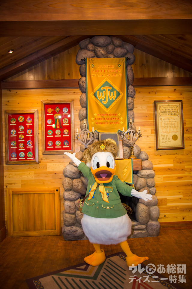 ウッドチャック・グリーティングトレイル｜キャンプ・ウッドチャック｜東京ディズニーランド