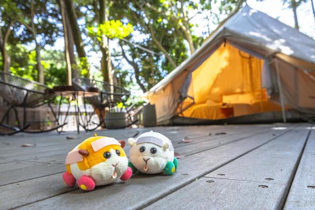 SUNSET BEACH PARK INAGE（稲毛海浜公園）