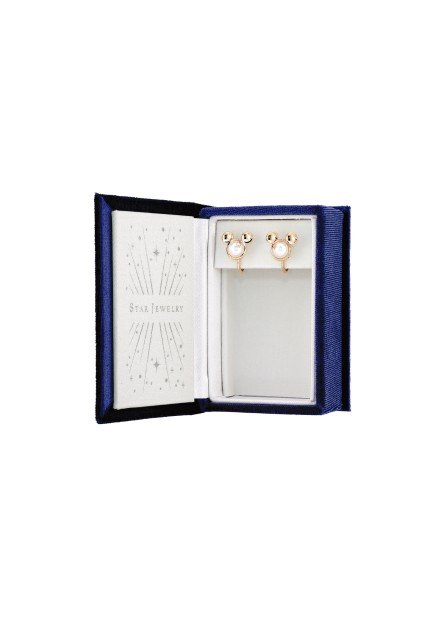 ギフトボックスイメージ（イヤリング）39,000円