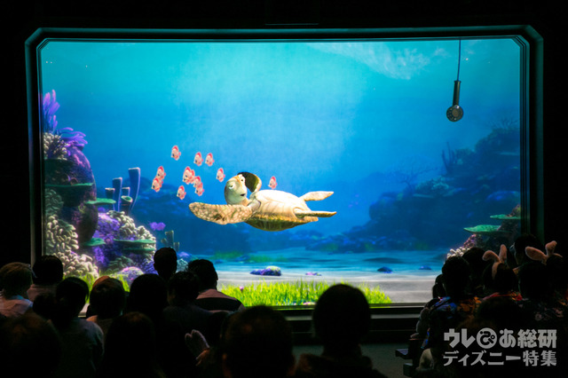 タートル・トーク｜東京ディズニーシー