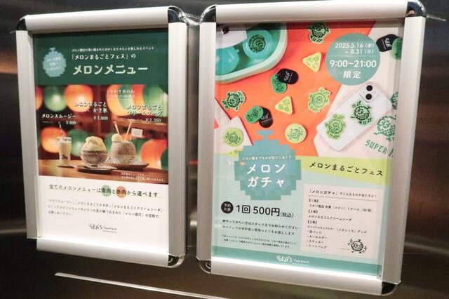 【BEB5土浦】「メロンまるごとフェス」のご案内