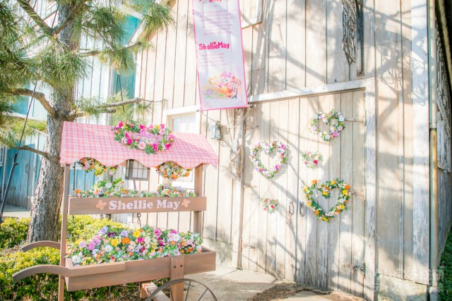 木立が優しい影を落とすケープコッド