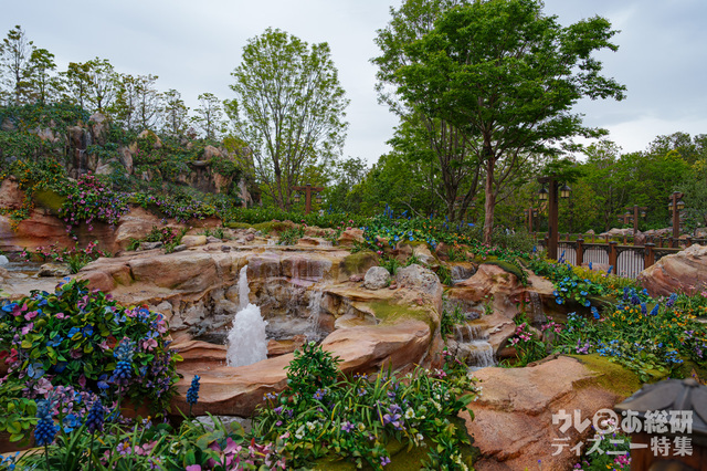 東京ディズニーシー「ファンタジースプリングス」現地のようす