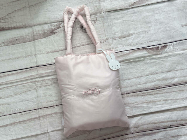 ちょっとしたお出かけの際の荷物を入れてみました