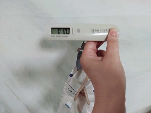 エコバッグの重さ