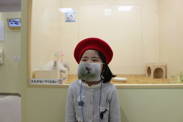 アンゴラウサギのマスクをしてパチリ！ （一般販売はしておりません）