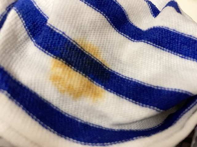 【ワークマン　レディースサーバーバスクハーフシャツ】ソース汚れも