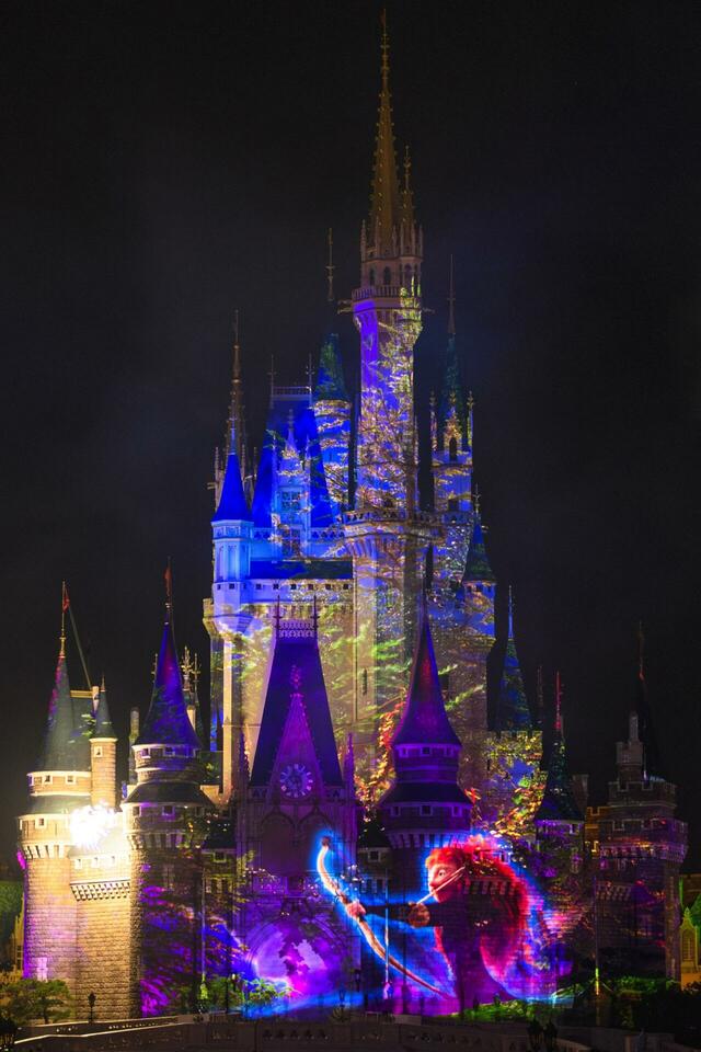 東京ディズニーランド「Reach for the Stars」