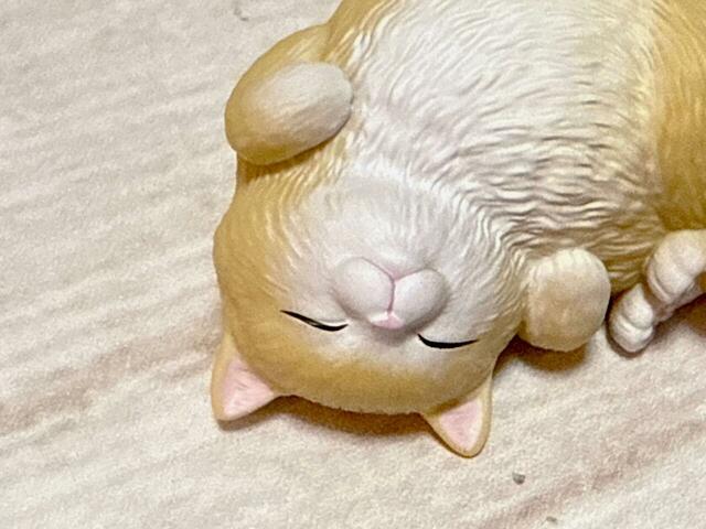 お眠な表情がかわいすぎる〜！