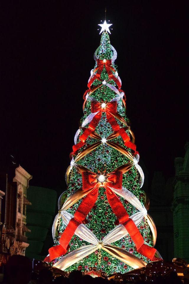 一生に一度は見たいクリスマスツリー｜ユニバーサル・ワンダー・クリスマス｜ユニバーサル・スタジオ・ジャパン