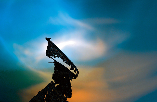 自撮り以外の写真も展示される