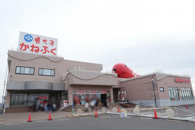 めんたいパーク大洗外観