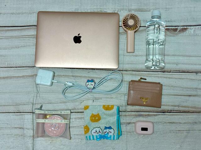 これだけの荷物が収納可能！