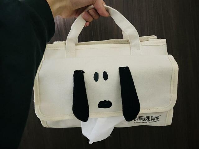 【SPRiNG　スヌーピーの持ち運べるインテリアバッグ】持ち運びが簡単でかわいらしい