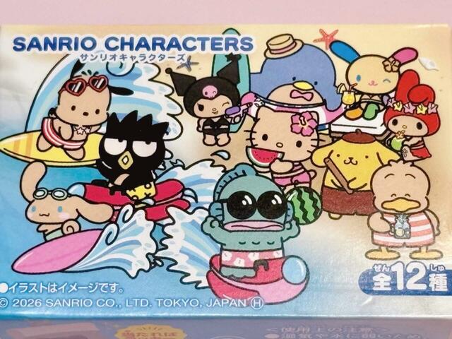フィギュアが入っている紙製パッケージはこの商品オリジナルの描き下ろしデザイン!