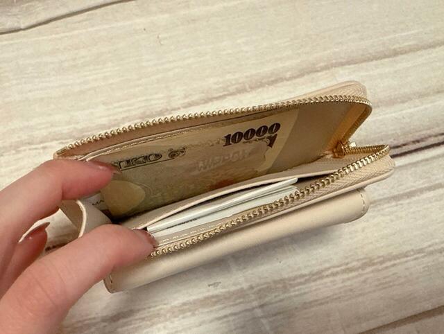 内側のスペースには二つ折りにした紙幣が収納可能。ポケットには折りたたんだレシートや領収書を入れてもGood!