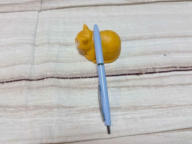 続いてボールペンを置いてみました。こちらも置けた！